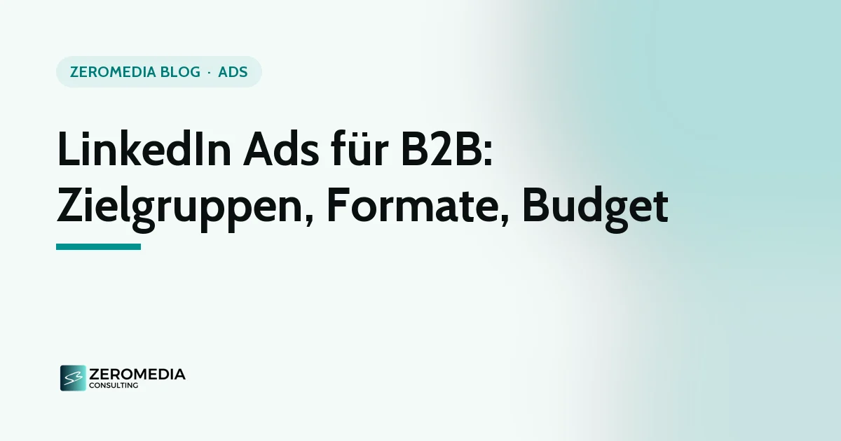 LinkedIn Ads für B2B: Titelgrafik zum Ratgeber „LinkedIn Ads für B2B: Zielgruppen, Formate, Budget“